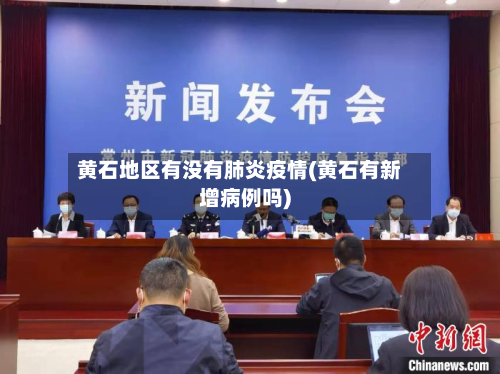 黄石地区有没有肺炎疫情(黄石有新增病例吗)-第2张图片