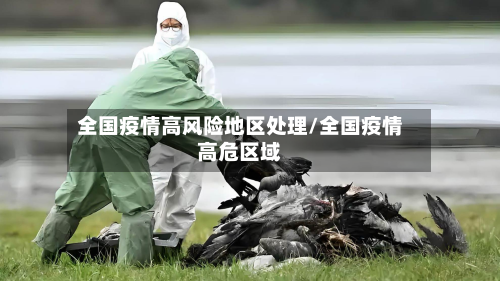 全国疫情高风险地区处理/全国疫情高危区域