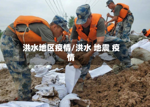 洪水地区疫情/洪水 地震 疫情-第2张图片