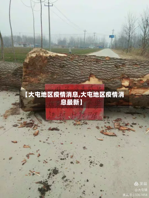 【大屯地区疫情消息,大屯地区疫情消息最新】