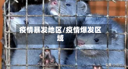 疫情暴发地区/疫情爆发区域-第2张图片