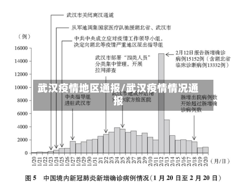 武汉疫情地区通报/武汉疫情情况通报-第2张图片