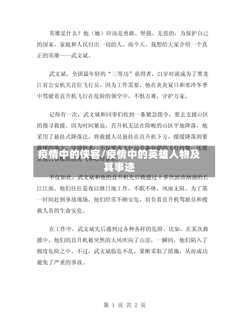 疫情中的侠客/疫情中的英雄人物及其事迹-第2张图片