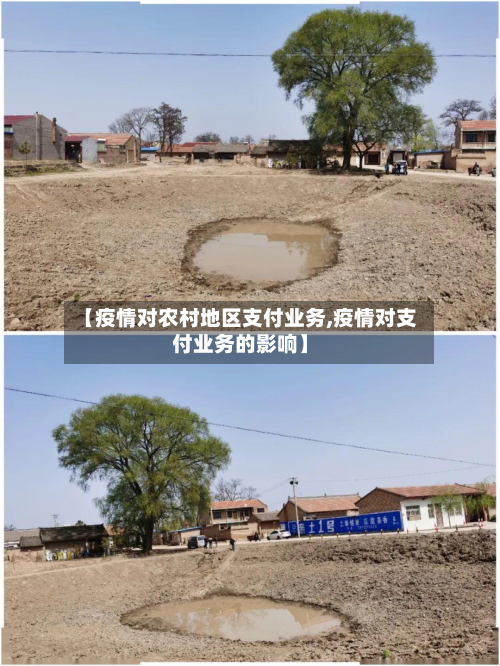 【疫情对农村地区支付业务,疫情对支付业务的影响】