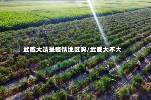 武威大靖是疫情地区吗/武威大不大-第2张图片