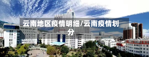 云南地区疫情明细/云南疫情划分