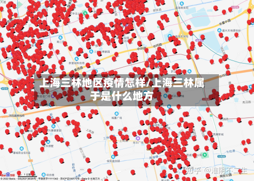 上海三林地区疫情怎样/上海三林属于是什么地方-第2张图片