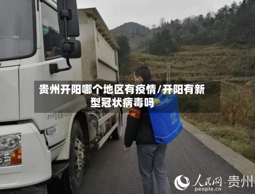 贵州开阳哪个地区有疫情/开阳有新型冠状病毒吗-第2张图片