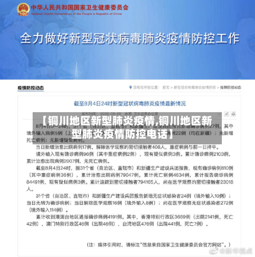 【铜川地区新型肺炎疫情,铜川地区新型肺炎疫情防控电话】-第3张图片