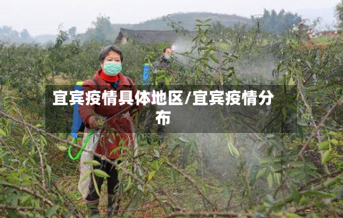 宜宾疫情具体地区/宜宾疫情分布